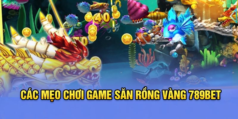 Các mẹo chơi game Săn rồng vàng 789Bet