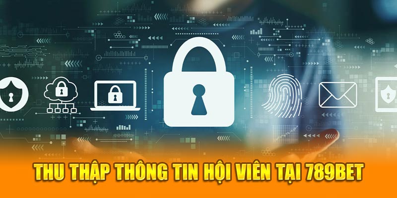 Thu thập thông tin hội viên tại 789BET